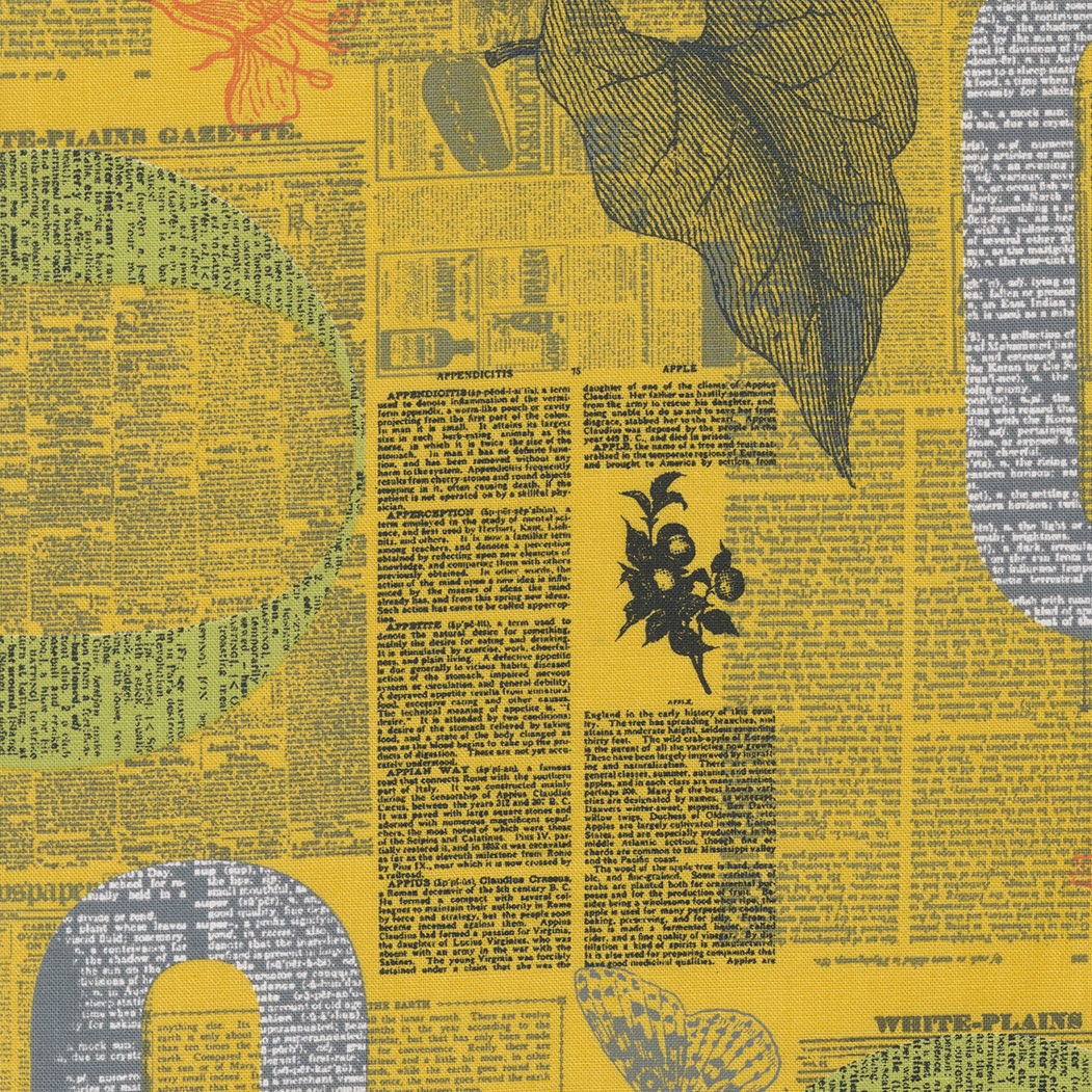 1/2 Yard - Filigree - Zen Grey - Zen Chic - Moda - Fabric Yardage - 1810 13