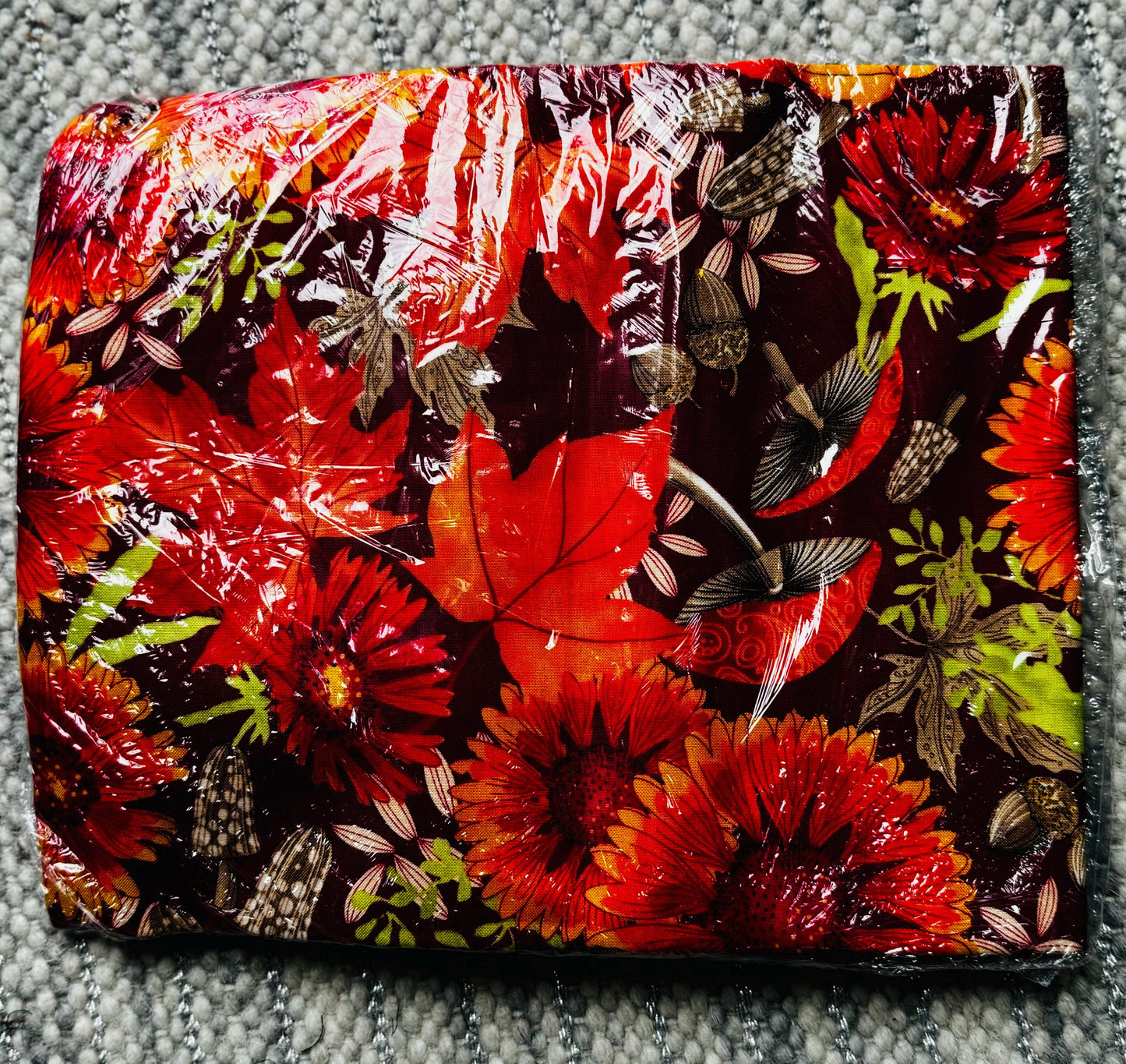 Forest Frolic - Acorn Quartet - Robin Pickens - Moda - Quilt Kit - KIT48740