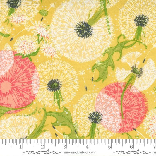 1/2 Yard - Dandi Duo - Maize - Robin Pickens - Moda - Fabric Yardage - 48750 12