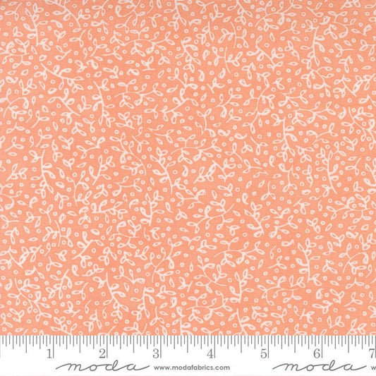 1/2 Yard - Dandi Duo - Peach - Robin Pickens - Moda - Fabric Yardage - 48754 14