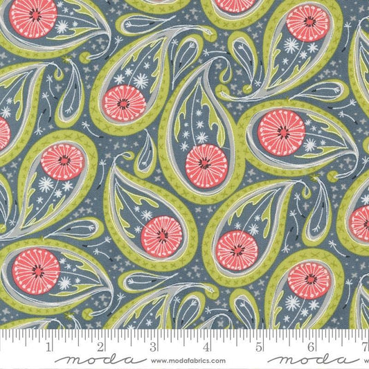 1/2 Yard - Dandi Duo - Graphite - Robin Pickens - Moda - Fabric Yardage - 48753 17