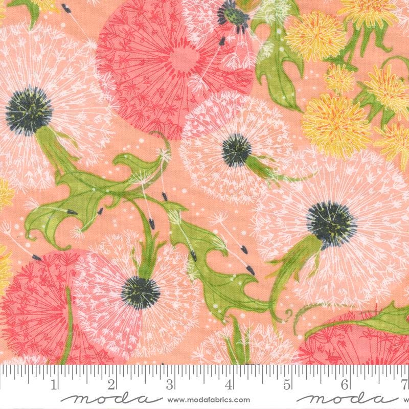 Dandi Duo - Robin Pickens - Moda - 42 Pieces - Mini Charm Pack - 48750MC