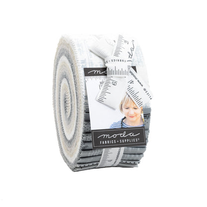 Modern BG Even More Paper - Zen Chic - Moda - 40 Pieces - Jelly Roll - 1762JR