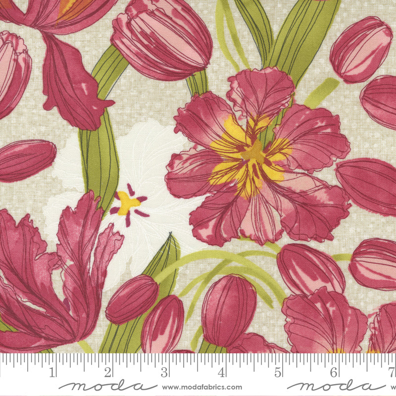 1/2 Yard - Tulip Tango - Cream -  Robin Pickens - Moda - Fabric Yardage - 48710 11