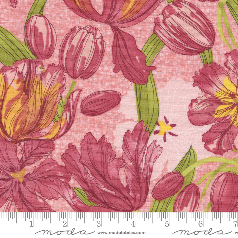 1/2 Yard - Tulip Tango - Princess - Robin Pickens - Moda - Fabric Yardage - 48710 17