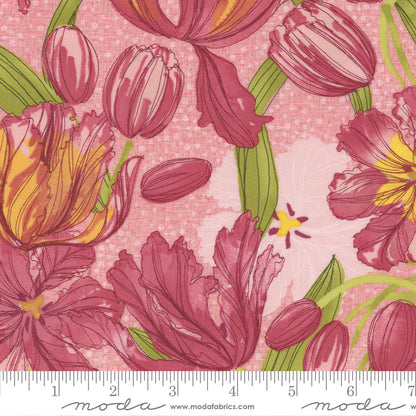 1/2 Yard - Tulip Tango - Princess - Robin Pickens - Moda - Fabric Yardage - 48710 17