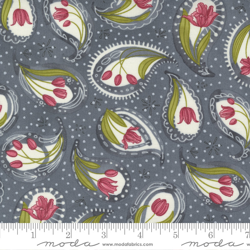1/2 Yard - Tulip Tango - Graphite - Robin Pickens - Moda - Fabric Yardage - 48711 13