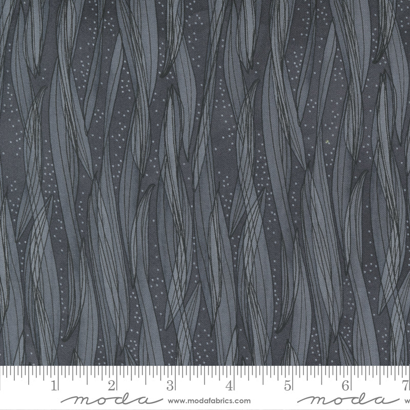 1/2 Yard - Tulip Tango - Shadow - Robin Pickens - Moda - Fabric Yardage - 48714 14
