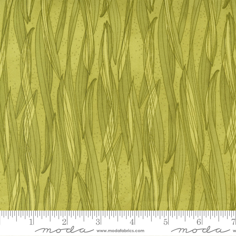 1/2 Yard - Tulip Tango - Chartreuse - Robin Pickens - Moda - Fabric Yardage - 48714 15