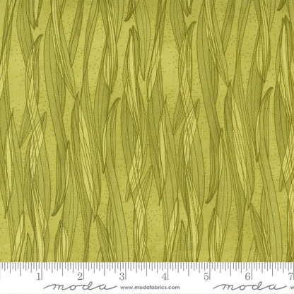 1/2 Yard - Tulip Tango - Chartreuse - Robin Pickens - Moda - Fabric Yardage - 48714 15
