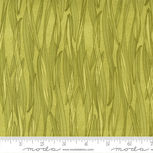 1/2 Yard - Tulip Tango - Chartreuse - Robin Pickens - Moda - Fabric Yardage - 48714 15