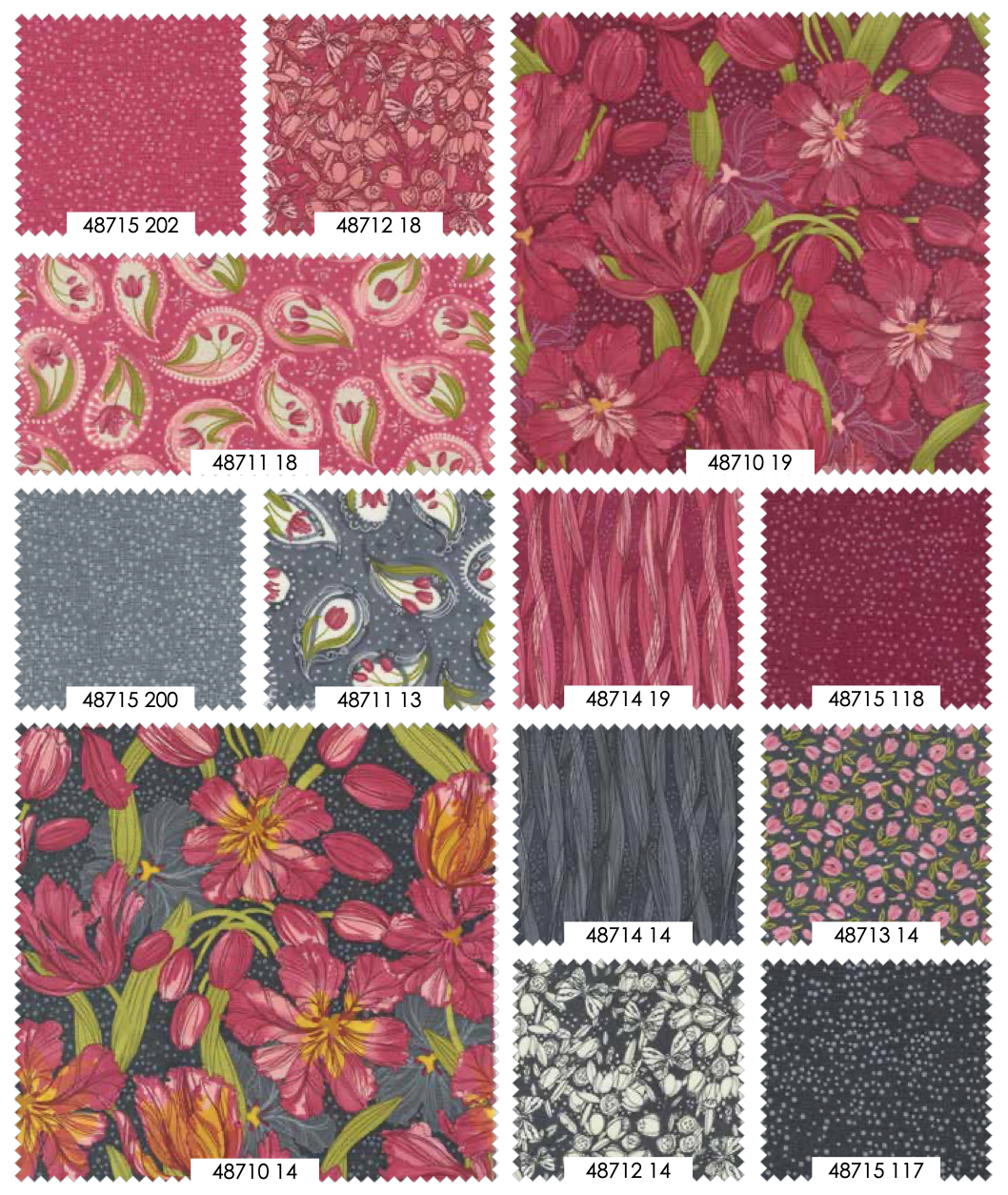 1/2 Yard - Tulip Tango - Graphite - Robin Pickens - Moda - Fabric Yardage - 48711 13