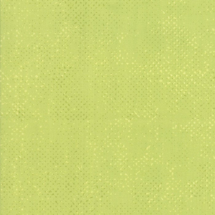 1/2 Yard - Spotted - Pistachio - Zen Chic - Moda - Fabric Yardage - 1660 63