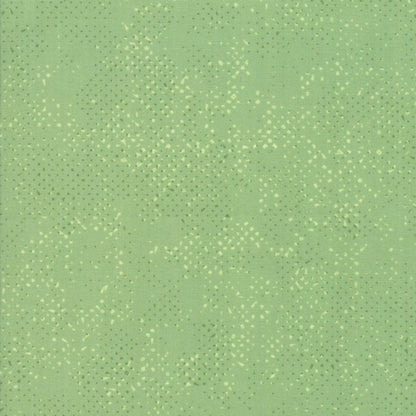 1/2 Yard - Spotted - Celadon - Zen Chic - Moda - Fabric Yardage - 1660 64