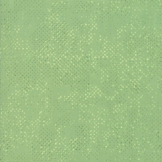 1/2 Yard - Spotted - Celadon - Zen Chic - Moda - Fabric Yardage - 1660 64