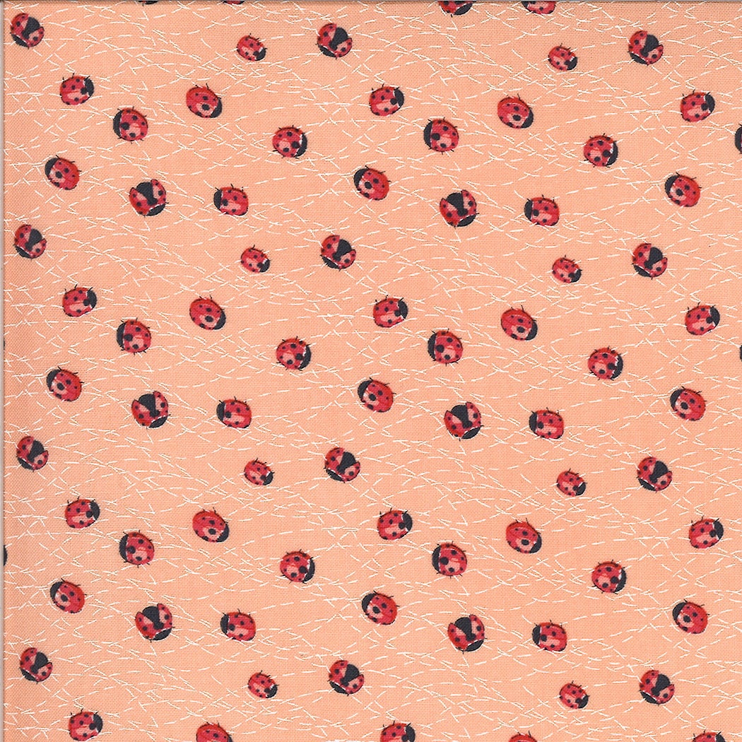 SALE!! 1/2 Yard - Solana - Ladybug - Peach - Robin Pickens - Moda - Fabric Yardage - 48684 19