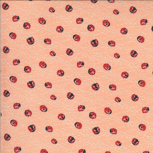 SALE!! 1/2 Yard - Solana - Ladybug - Peach - Robin Pickens - Moda - Fabric Yardage - 48684 19