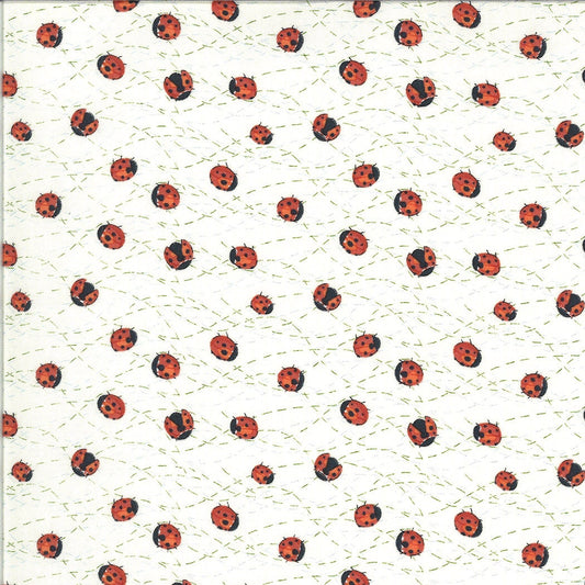 SALE!! 1/2 Yard - Solana - Ladybug - Cream - Robin Pickens - Moda - Fabric Yardage - 48684 11