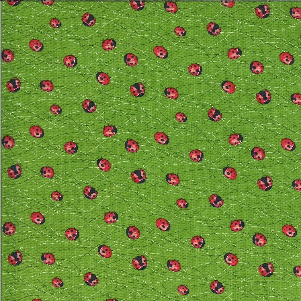 SALE!! 1/2 Yard - Solana - Ladybug - Sprout - Robin Pickens - Moda - Fabric Yardage - 48684 15