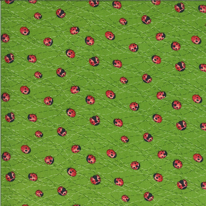 SALE!! 1/2 Yard - Solana - Ladybug - Sprout - Robin Pickens - Moda - Fabric Yardage - 48684 15
