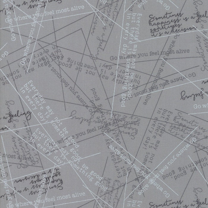 SALE!! 1/2 Yard - Modern Background More Paper - Steel - Zen Chic - Brigitte Heitland - Moda - Fabric Yardage - 1674 22