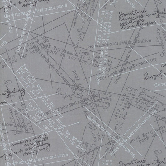 SALE!! 1/2 Yard - Modern Background More Paper - Steel - Zen Chic - Brigitte Heitland - Moda - Fabric Yardage - 1674 22