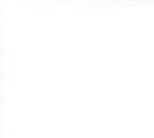 SALE!! 1/2 Yard - Illustrations - Tonal Paper - Alli K Design - Moda - Fabric Yardage - 11501 21