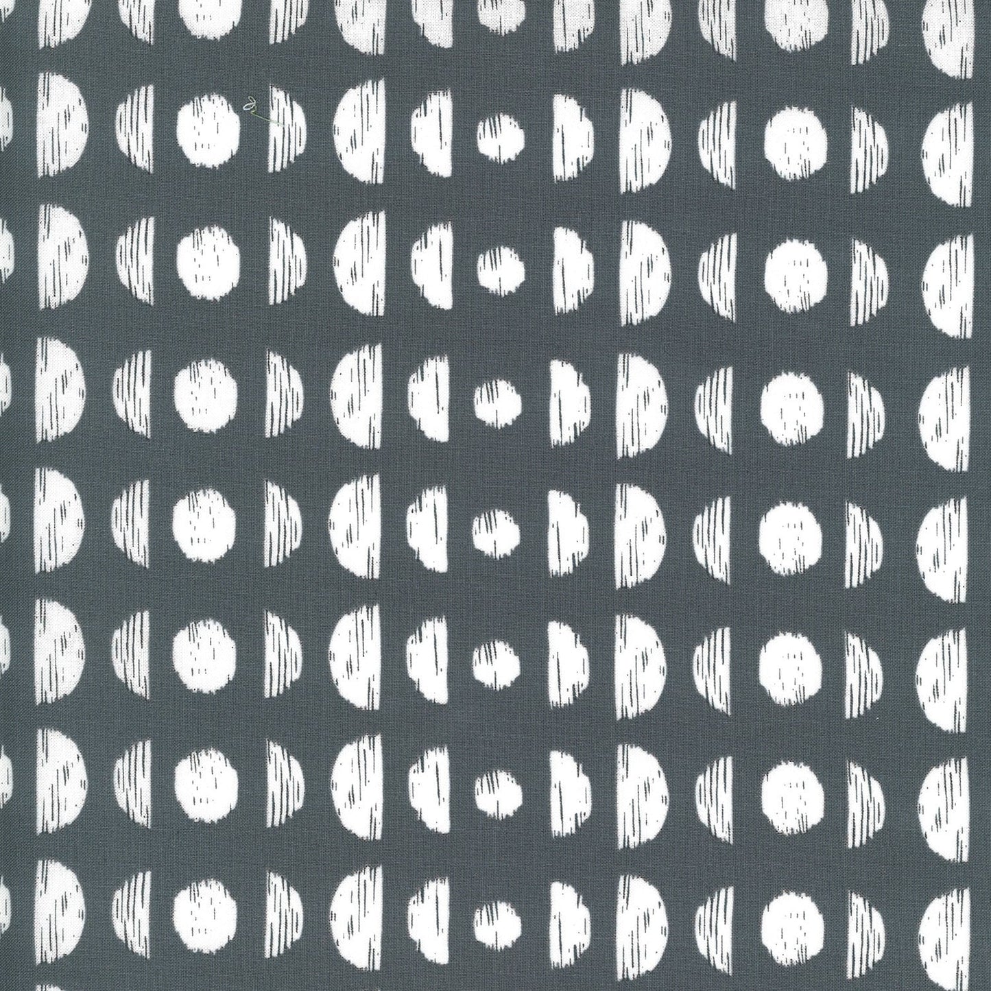 SALE!! 1/2 Yard - Illustrations - Graphite - Alli K Design - Moda - Fabric Yardage - 11504 14