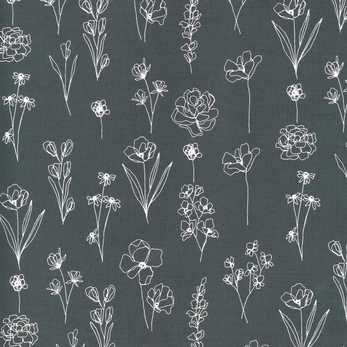 SALE!! 1/2 Yard - Illustrations - Graphite - Alli K Design - Moda - Fabric Yardage - 11505 24