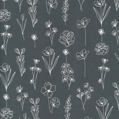 SALE!! 1/2 Yard - Illustrations - Graphite - Alli K Design - Moda - Fabric Yardage - 11505 24