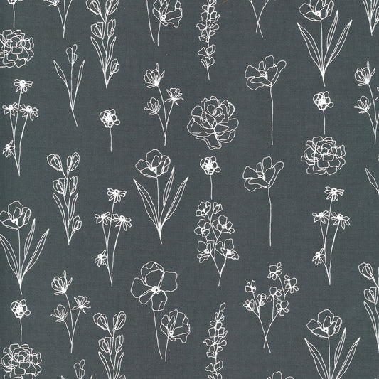 SALE!! 1/2 Yard - Illustrations - Graphite - Alli K Design - Moda - Fabric Yardage - 11505 24