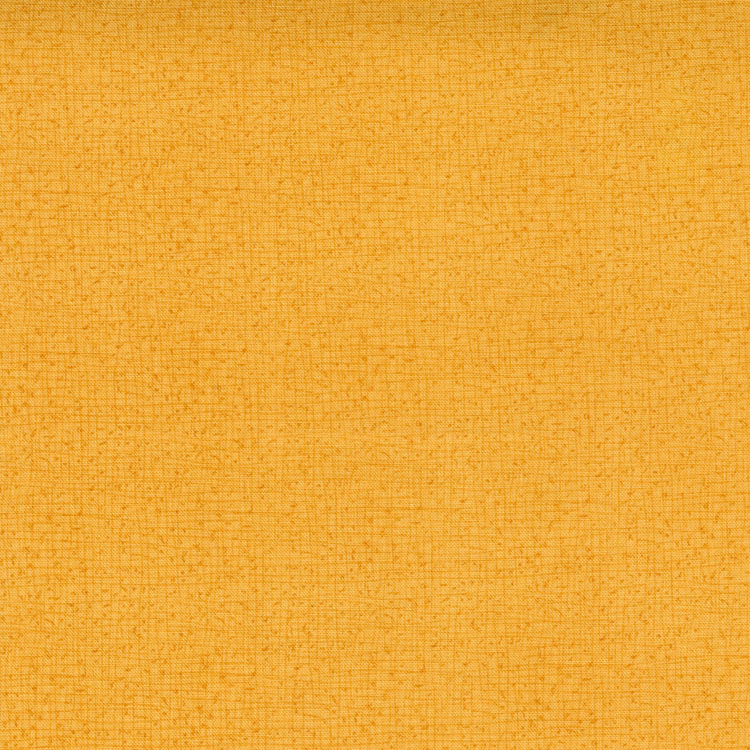 Thatched NEW - Robin Pickens - Moda - 25 Pieces - Mini Charm Pack - 48626MCN