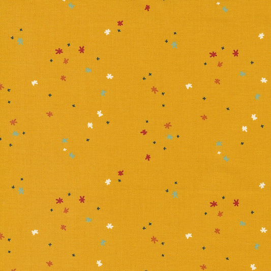 1/2 Yard - Frisky - Twinkle Sunny - Zen Chic - Moda - Fabric Yardage - 1775 13