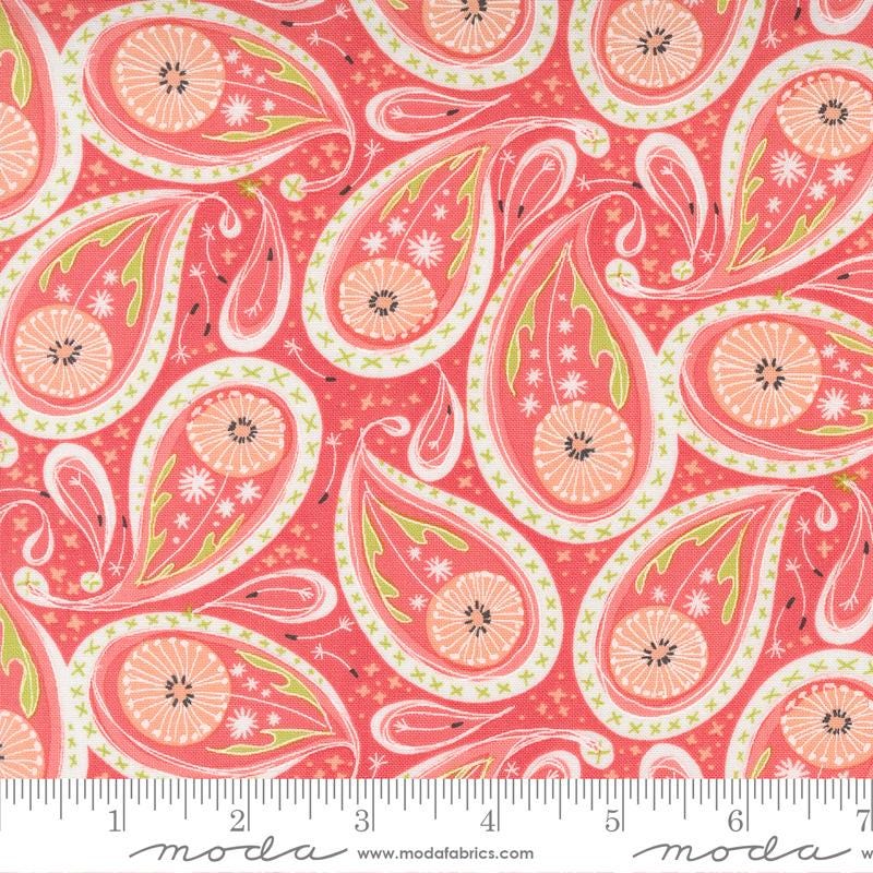 1/2 Yard - Dandi Duo - Coral - Robin Pickens - Moda - Fabric Yardage - 48753 15