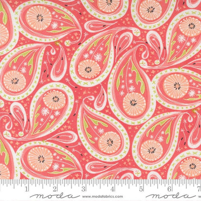 1/2 Yard - Dandi Duo - Coral - Robin Pickens - Moda - Fabric Yardage - 48753 15