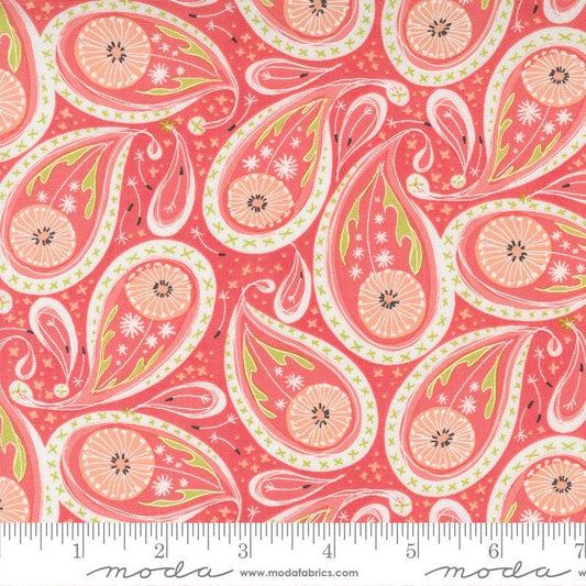 1/2 Yard - Dandi Duo - Coral - Robin Pickens - Moda - Fabric Yardage - 48753 15