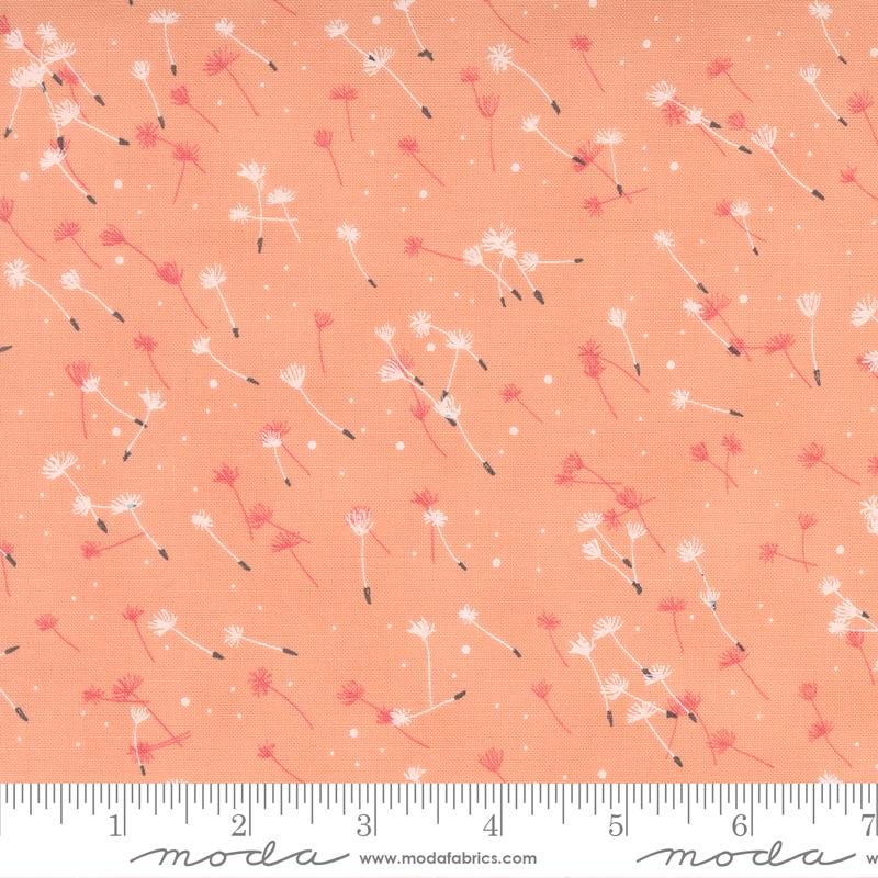 1/2 Yard - Dandi Duo - Peach - Robin Pickens - Moda - Fabric Yardage - 48756 14