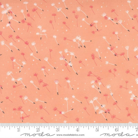 1/2 Yard - Dandi Duo - Peach - Robin Pickens - Moda - Fabric Yardage - 48756 14