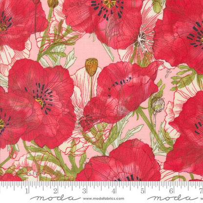 1/2 Yard - Superbloom - Carnation - Robin Pickens - Moda - Fabric Yardage - 48781 19