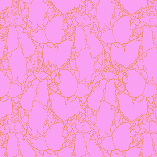 1/2 Yard - RARE OOP - Tula's Spirit Animal - Stone Cold Critters - Lunar - Tula Pink - FreeSpirit - Fabric Yardage - PWTP100.LUNAR