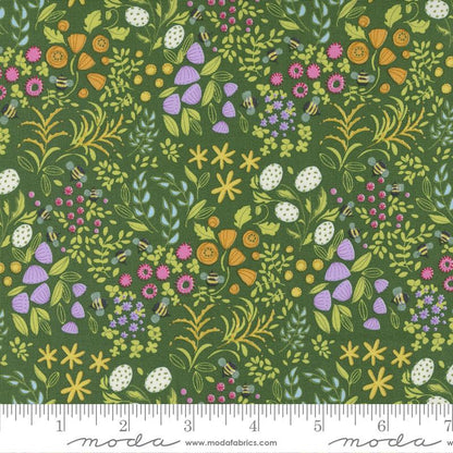 Wild Blossoms - Robin Pickens - Moda - Layer Cake - 48730LC